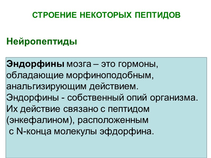 Нейропептиды   Эндорфины мозга – это гормоны, обладающие морфиноподобным, анальгизирующим действием.  Эндорфины